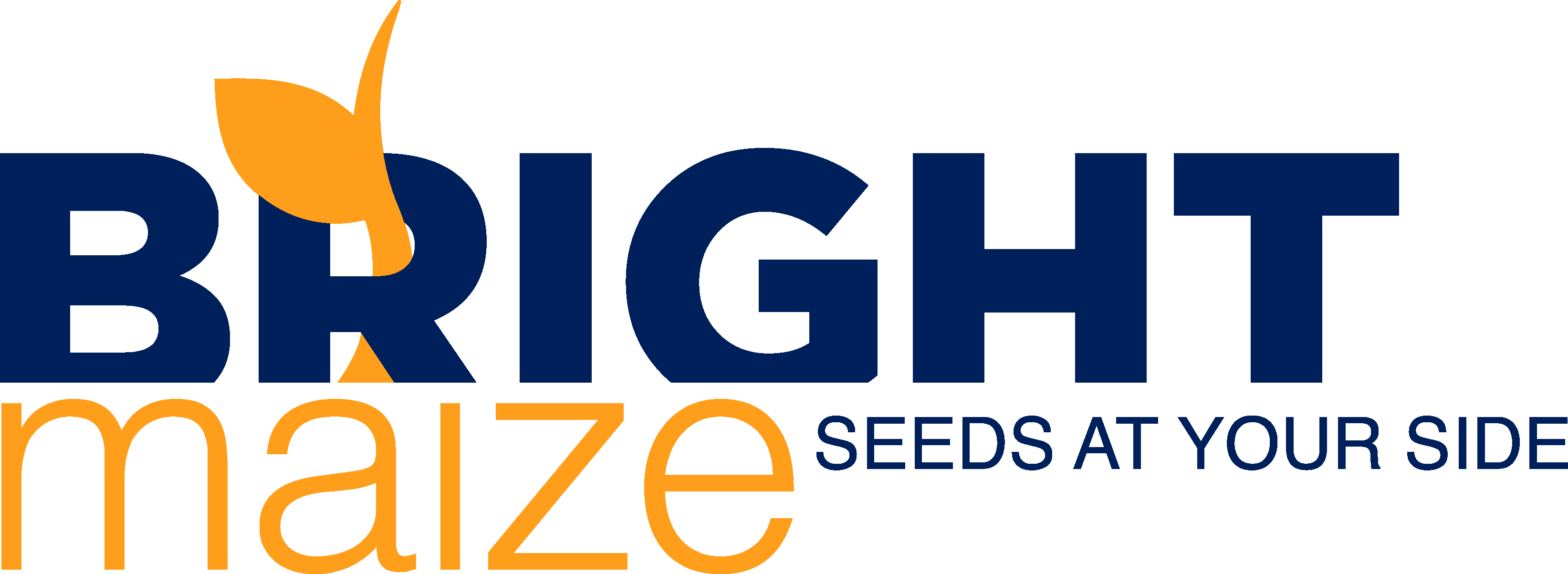 Bright_Maize_logos Bright_Maize_logos